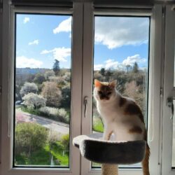 Oresi je nejlepší parťák