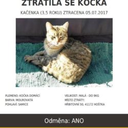 ztrata_kacenka