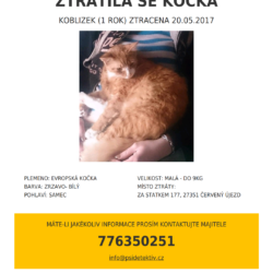 Koblizek ztraty