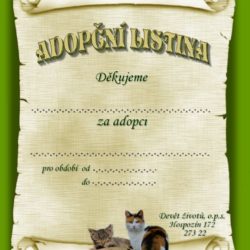 adopcni_listina