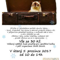 blesak_prosinec2017