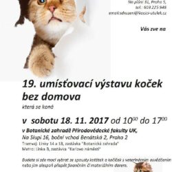 vystava