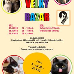 blesak_kralupy_brezen2018