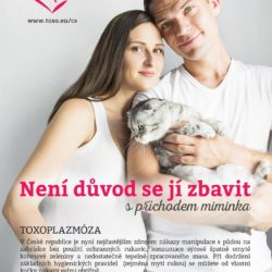 toxoplazmoza-plakat