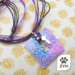 zvn2