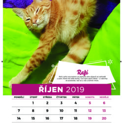 9zivotu_kalendar2019-final-10