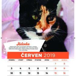9zivotu_kalendar2019-final-6