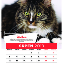 9zivotu_kalendar2019-final-8