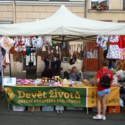 ZMJ_Roudnice_2018