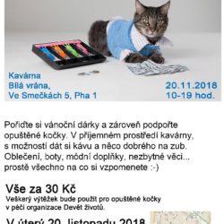 plakat_blesak_vrana_listopad2018_final