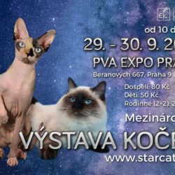 vystava
