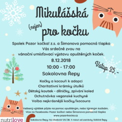 mikulasska_vystava