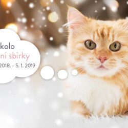 FB_cover