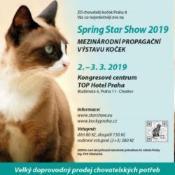 vystava_spring_star_show