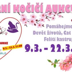 aukce_jaro