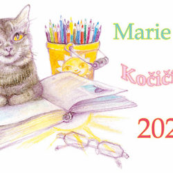 kalendar_pastelka_2020_4