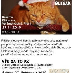 plakatek