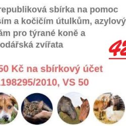 den-zvirat_vysledky