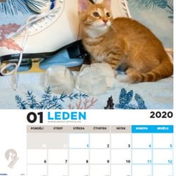 leden