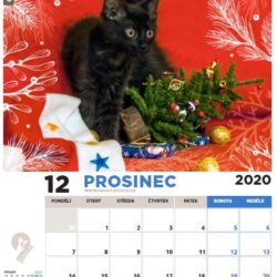 prosinec