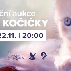 aukce_vanoce2019