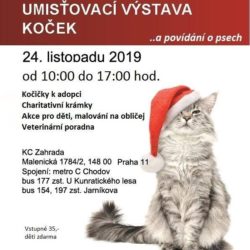 umistovacka_KCZahrada_listopad2019