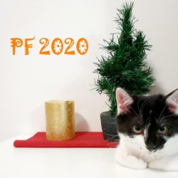 vanocni_kocka_pf2020