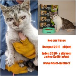kolaz_Husse