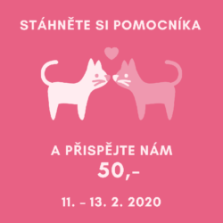 pomocnik_givt