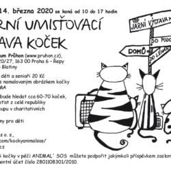 umistovacka_repy_brezen2020