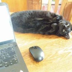 snehulka_home_office