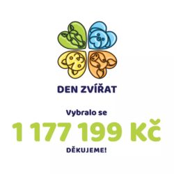 den_zvirat_vysledek