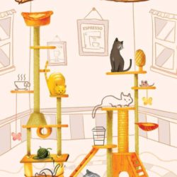 cat_cafe