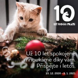kocici_prani_vanoce2020