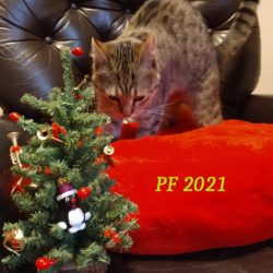 pf2021