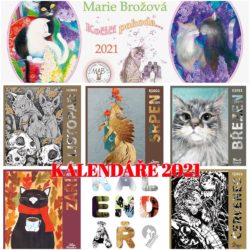 kalendare2021-kolaz