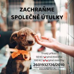 zachranme_utulky_2021