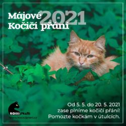 strom_jaro2021_2