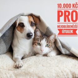 nejoblibenejsi_utulek