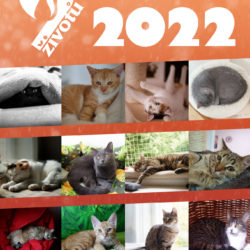 kalendar_2022_00