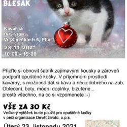 plakat_blesak_listopad2021