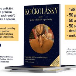 kockolasky2