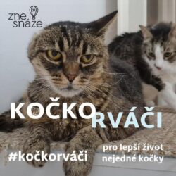 kockorvaci2