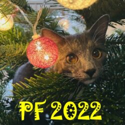 PF2022-Rozinka