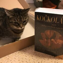 kockolasky_lebeda