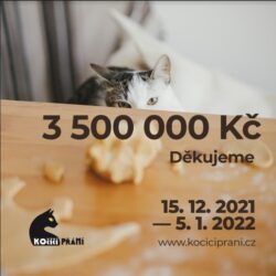 271435952_7220852117955396_987827824229231703_n