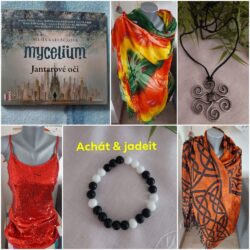 poldincina_aukce_kolaz3
