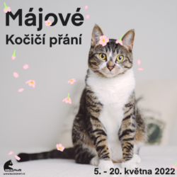 plakat4