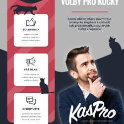 volby_pro_kocky2022