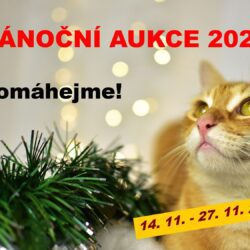 1-aukce_plakat